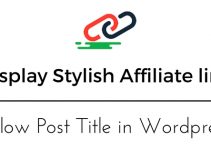 Display Stylish Affiliate link Below Post Title in WordPress