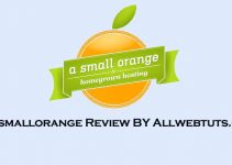 A small orange Review