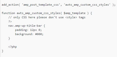 add Custom CSS in Amp template in WordPress