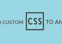 How to Add Custom CSS in Amp template on WordPress