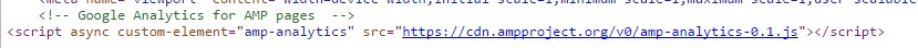 Install Google Analytics in WordPress AMP pages