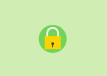 enable a Let's Encrypt Free SSL in Cloudways Hosting